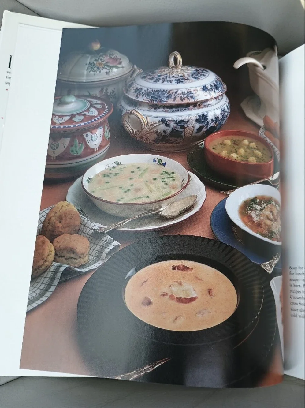 Julia Child’s The Way To Cook Cookbook